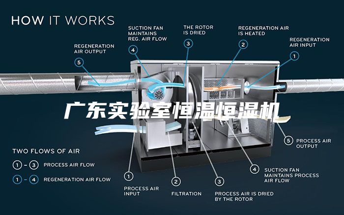 广东实验室恒温恒湿机