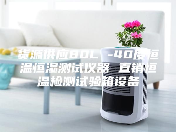 货源供应80L -40度恒温恒湿测试仪器 直销恒温检测试验箱设备