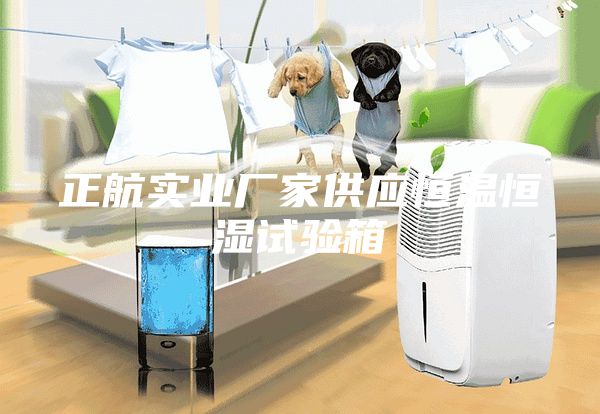 正航实业厂家供应恒温恒湿试验箱