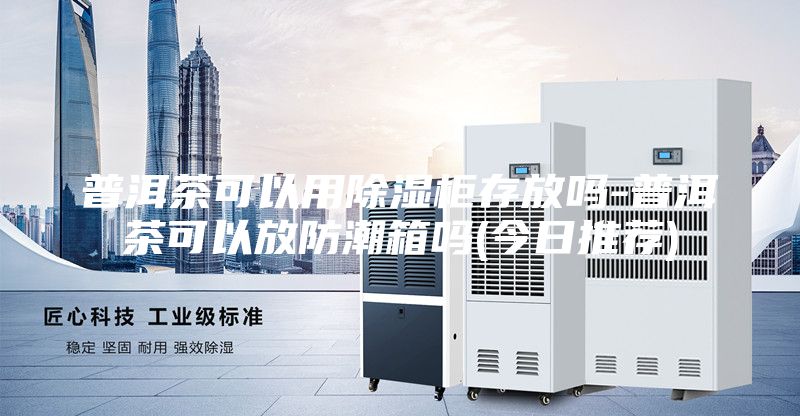 普洱茶可以用除湿柜存放吗-普洱茶可以放防潮箱吗(今日推荐)