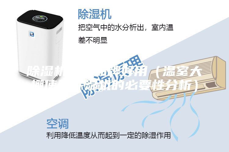 除湿机哪个品牌好用（温室大棚使用除湿机的必要性分析）