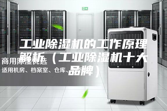 工业除湿机的工作原理解析（工业除湿机十大品牌）