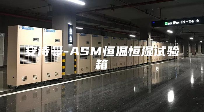 安诗曼-ASM恒温恒湿试验箱