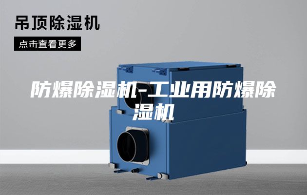 防爆除湿机-工业用防爆除湿机