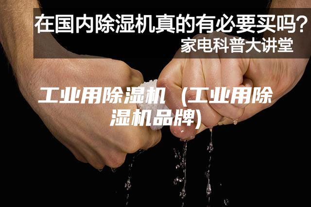 工业用除湿机 (工业用除湿机品牌)