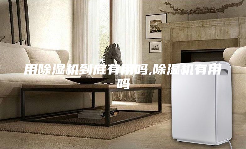 用除湿机到底有用吗,除湿机有用吗