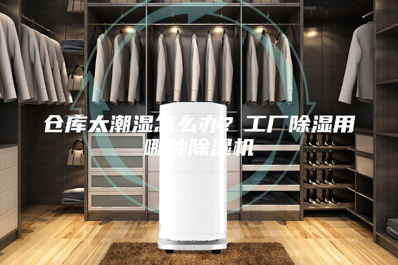 仓库太潮湿怎么办？工厂除湿用哪种除湿机