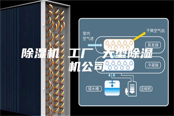 除湿机 工厂 大型除湿机公司