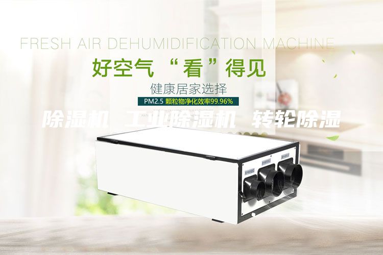除湿机 工业除湿机 转轮除湿机