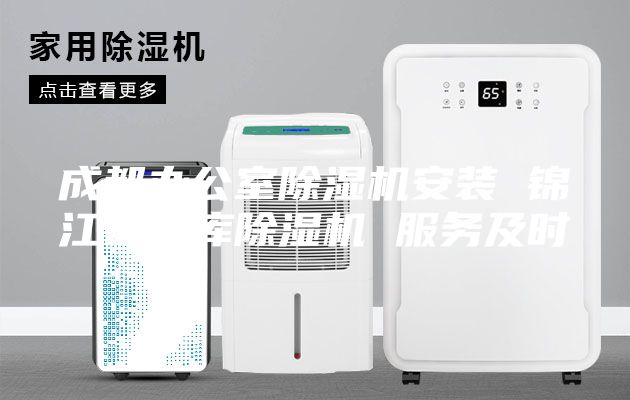 成都办公室除湿机安装 锦江区仓库除湿机 服务及时