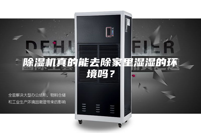 除湿机真的能去除家里湿湿的环境吗？