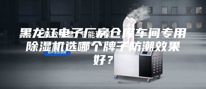 黑龙江电子厂房仓库车间专用除湿机选哪个牌子防潮效果好？