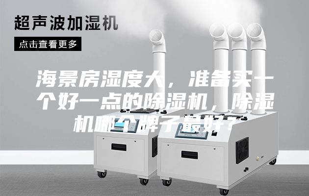 海景房湿度大，准备买一个好一点的除湿机，除湿机哪个牌子最好？