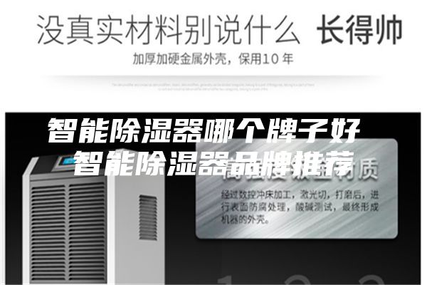 智能除湿器哪个牌子好 智能除湿器品牌推荐