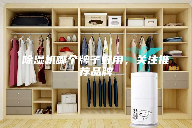 除湿机哪个牌子好用，关注推荐品牌