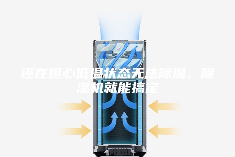 还在担心低温状态无法除湿，除湿机就能搞定