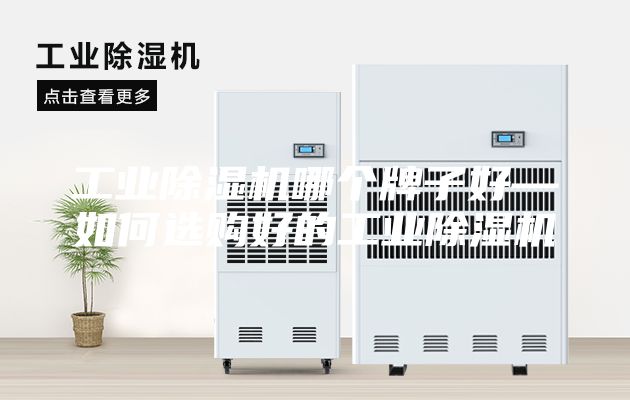 工业除湿机哪个牌子好—如何选购好的工业除湿机