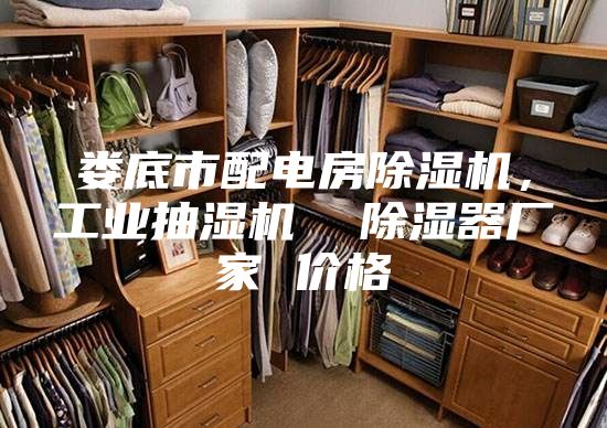 娄底市配电房除湿机，工业抽湿机  除湿器厂家 价格