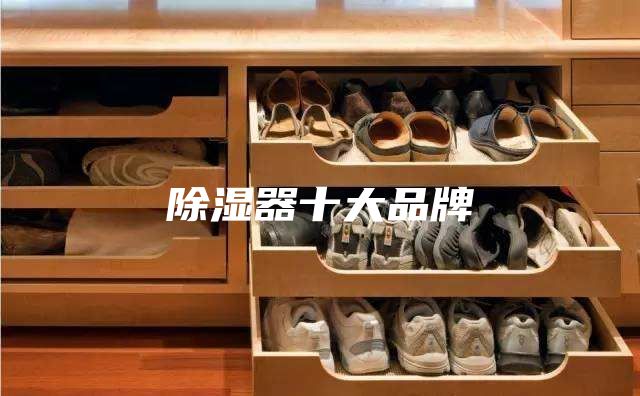除湿器十大品牌