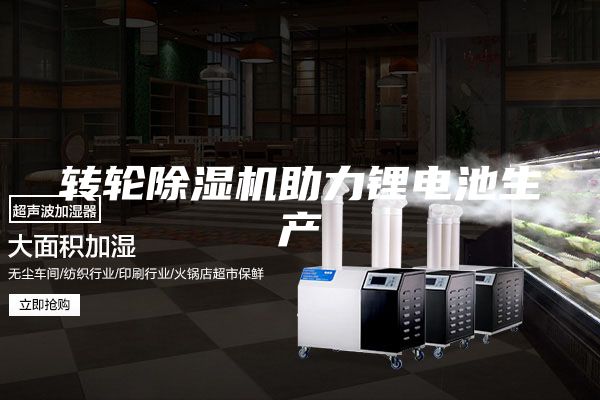 转轮除湿机助力锂电池生产