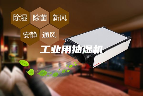 工业用抽湿机