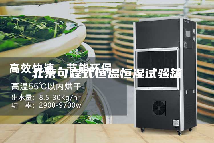 北京可程式恒温恒湿试验箱