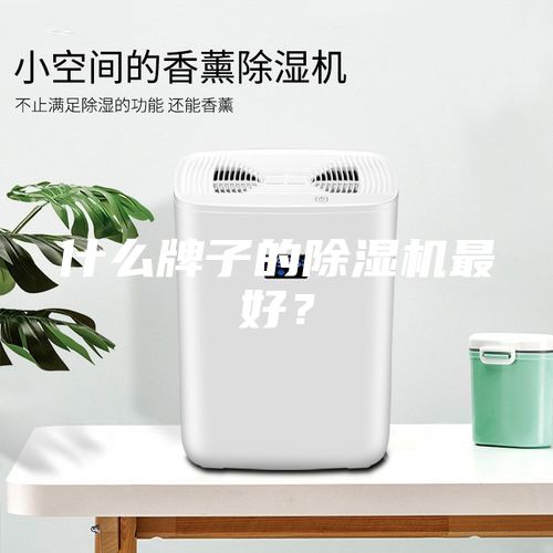 什么牌子的除湿机最好？