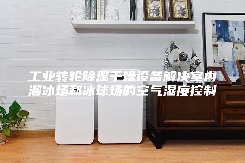 工业转轮除湿干燥设备解决室内溜冰场和冰球场的空气湿度控制