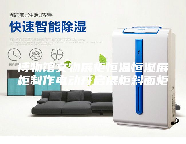 博物馆文物展柜恒温恒湿展柜制作电动开启展柜斜面柜