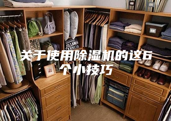 关于使用除湿机的这6个小技巧