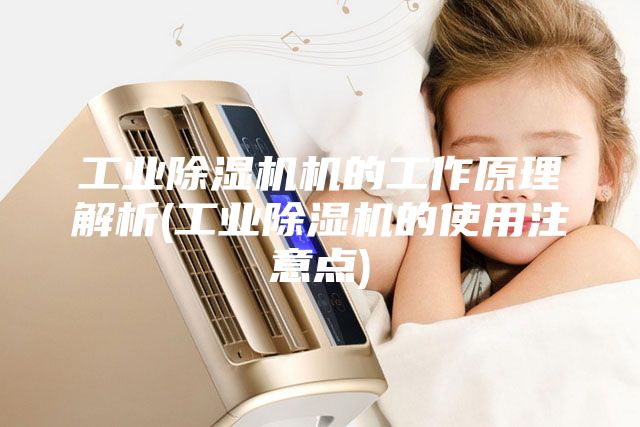 工业除湿机机的工作原理解析(工业除湿机的使用注意点)