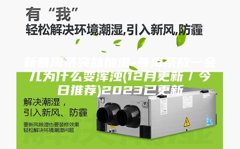 新普洱茶突然抽湿-普洱茶放一会儿为什么变浑浊(12月更新／今日推荐)2023已更新
