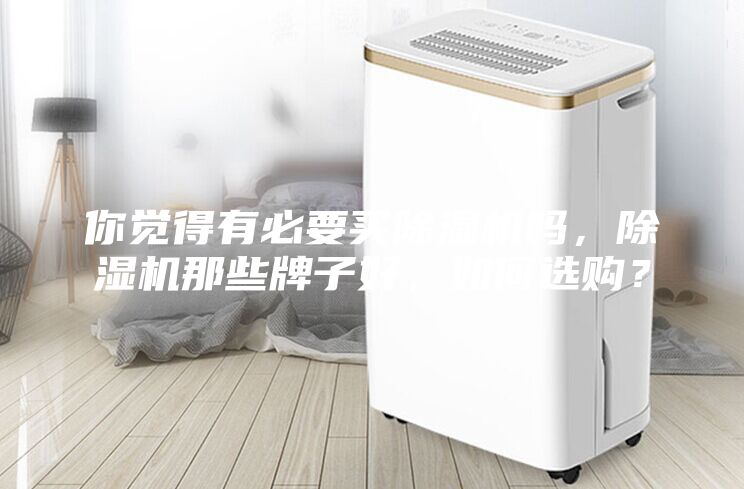 你觉得有必要买除湿机吗，除湿机那些牌子好，如何选购？