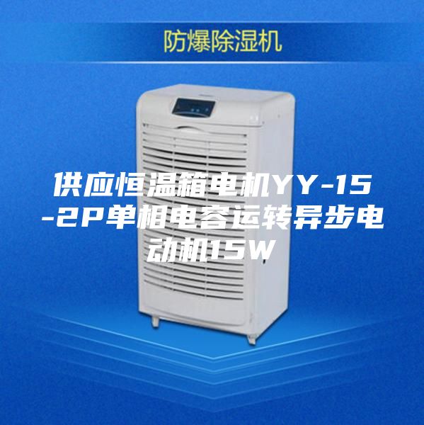 供应恒温箱电机YY-15-2P单相电容运转异步电动机15W