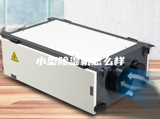 小型除湿机怎么样