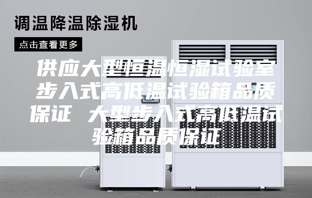 供应大型恒温恒湿试验室步入式高低温试验箱品质保证 大型步入式高低温试验箱品质保证