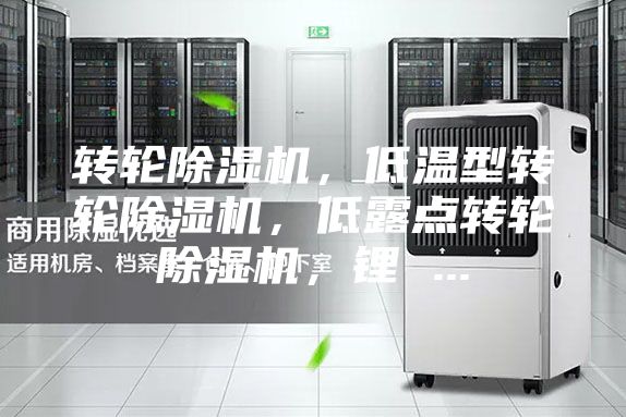 转轮除湿机，低温型转轮除湿机，低露点转轮除湿机，锂 ...