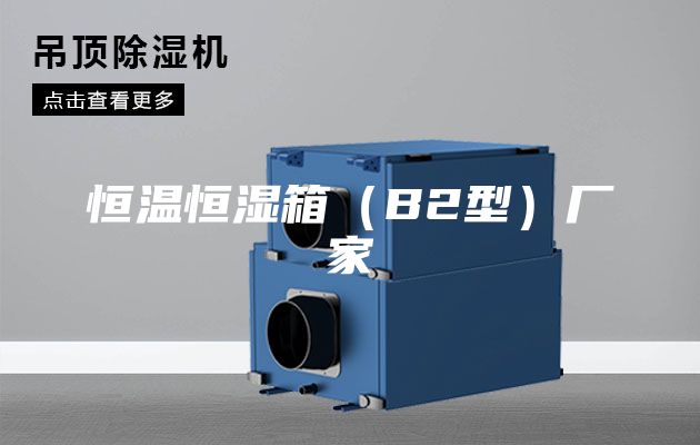 恒温恒湿箱（B2型）厂家