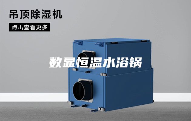 数显恒温水浴锅
