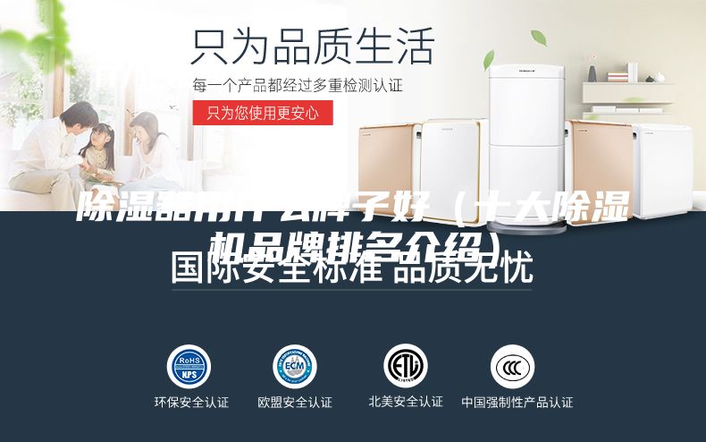 除湿器用什么牌子好（十大除湿机品牌排名介绍）