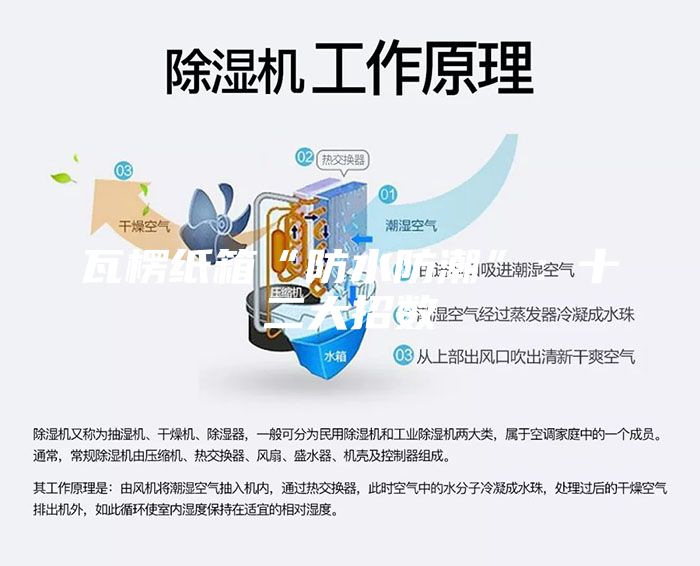 瓦楞纸箱“防水防潮”：十二大招数