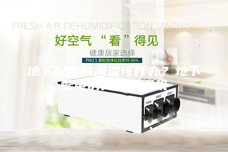地下配电房潮湿该咋办？地下配电房大型除湿机