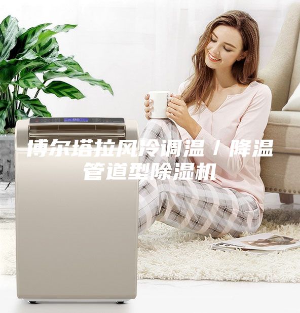 博尔塔拉风冷调温／降温管道型除湿机