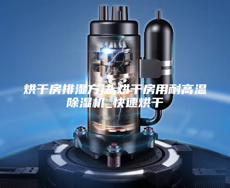 烘干房排湿方法,烘干房用耐高温除湿机_快速烘干