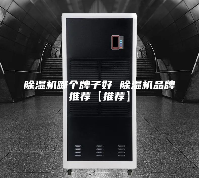 除湿机哪个牌子好 除湿机品牌推荐【推荐】