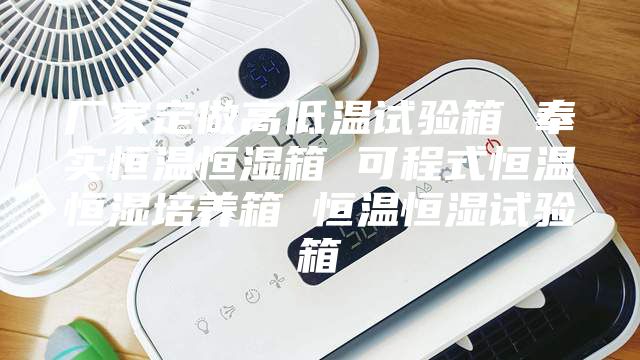 厂家定做高低温试验箱 奉实恒温恒湿箱 可程式恒温恒湿培养箱 恒温恒湿试验箱
