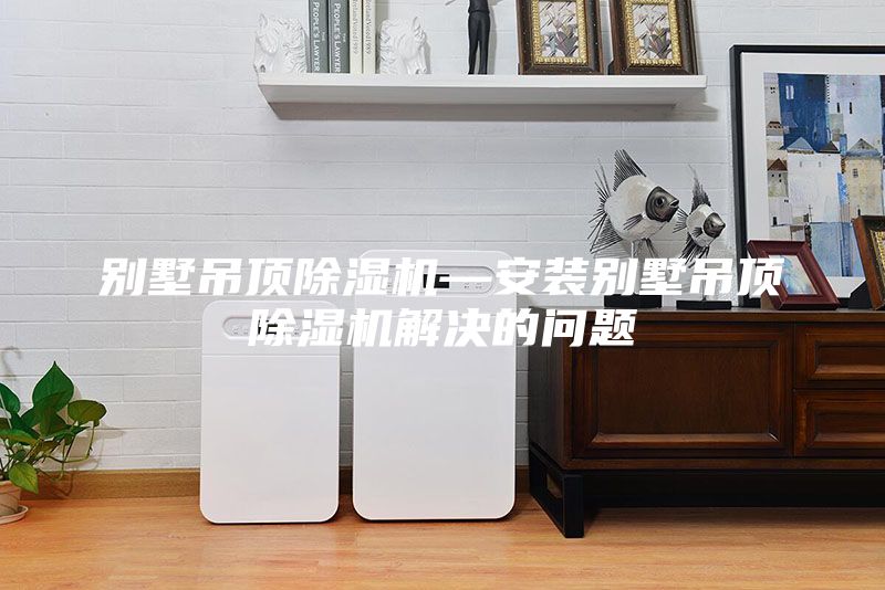 别墅吊顶除湿机—安装别墅吊顶除湿机解决的问题