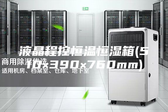 液晶程控恒温恒湿箱(510×390×760mm)