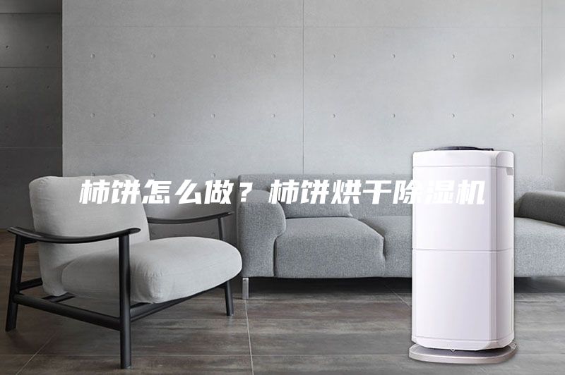 柿饼怎么做？柿饼烘干除湿机