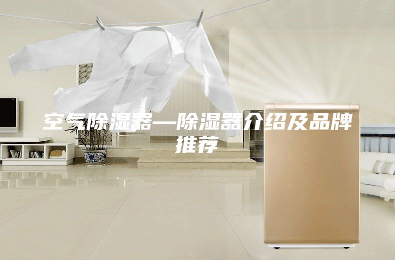 空气除湿器—除湿器介绍及品牌推荐